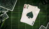 Succulent Deck (Special Edition Foil Case) - Playing Cards